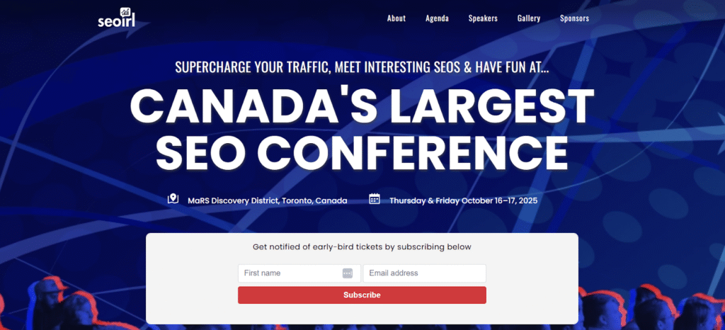 An overview of SEO:IRL’s website dashboard.